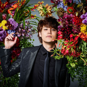 狗和人性胶能行吗
