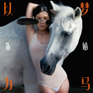 狗和人性胶能行吗
