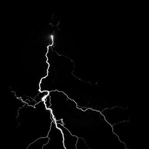 狗和人性胶能行吗
