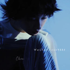 狗和人性胶能行吗
