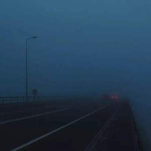 狗和人性胶能行吗
