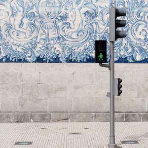 狗和人性胶能行吗
