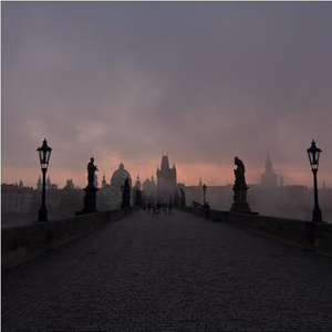 狗和人性胶能行吗
